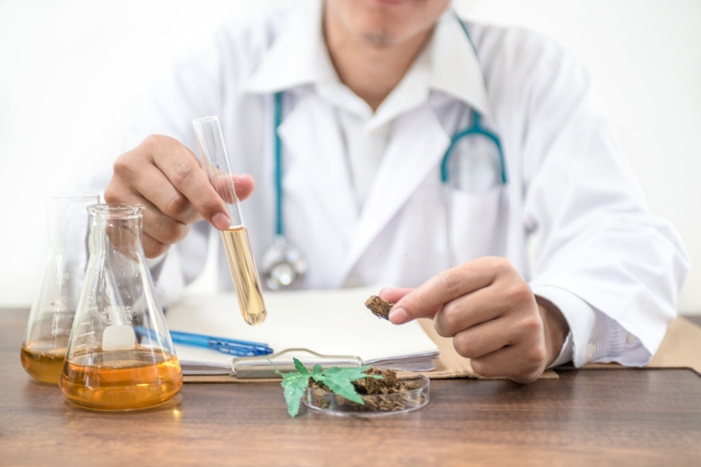 DIY Recipe Using Cannabis Oil For Your Skincare&nbsp;Needs